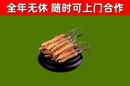 威远县烟酒回收冬虫夏草.jpg